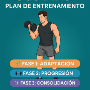 Plan 90 días